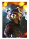 Avengers Endgame Rocket Raccoon Vest