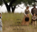 1883 vs yellowstone outfits